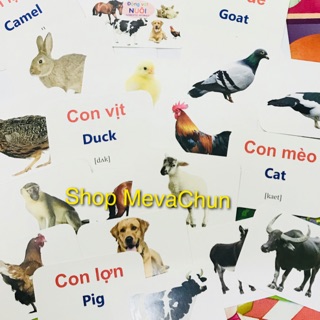 THẺ HỌC NHIỀU CHỦ ĐỀ ( chuẩn pp giáo dục sớm)