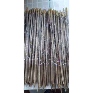 50 CẦN CÂU CẮM ẾCH TÓM SẴN