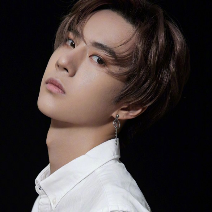 Bông Tai Thép Titan Dáng Dài Phong Cách 101 Wang Yibo Cho Nam Và Nữ A710