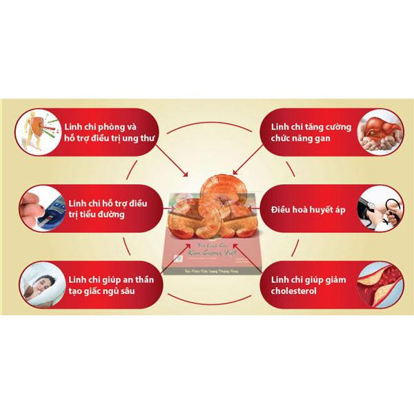 Trà Linh Chi Túi Lọc Vĩnh Tiến Thượng Hạng - Thơm Ngon Và Bổ