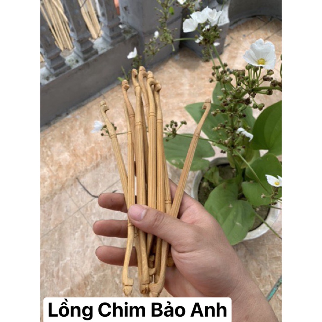 Cầu đứng đầu rồng chim khuyên , chào mào, vẹt - phụ kiện lồng chim rẻ đẹp