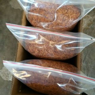 Ruốc Ăn Liền - 250g (túi zip)