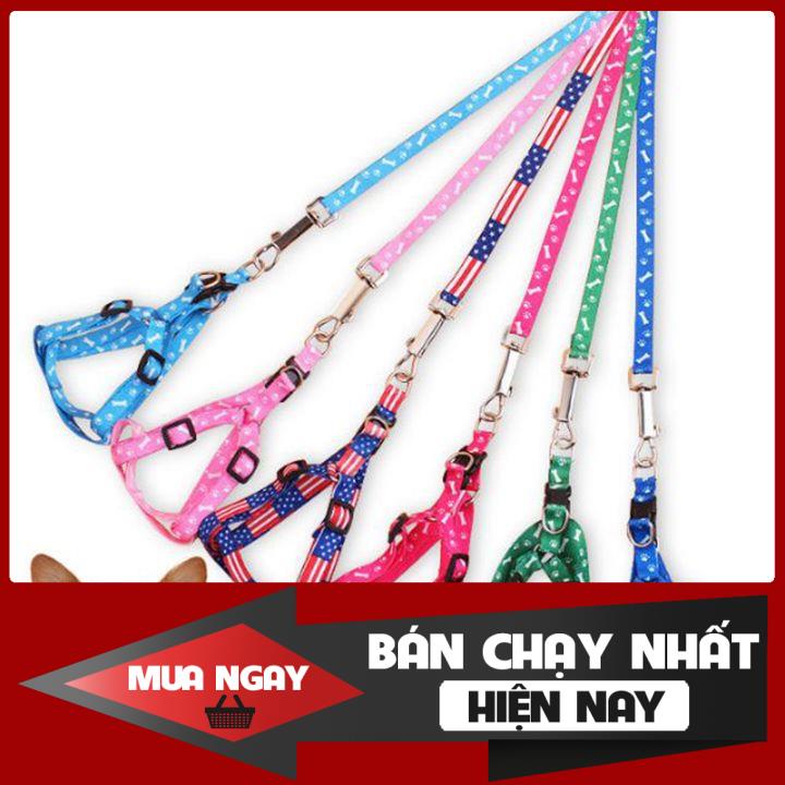 [❌GIÁ SỈ❌] Set Dây xích ngực chó mèo thú cưng chống trầy cổ - Hàng hoa văn cao cấp ❤️