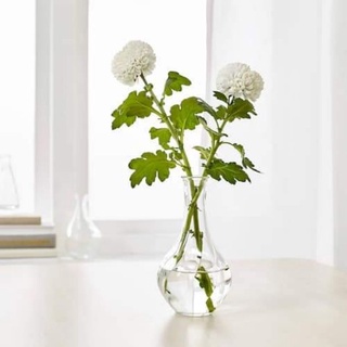 Lọ hoa IKEA