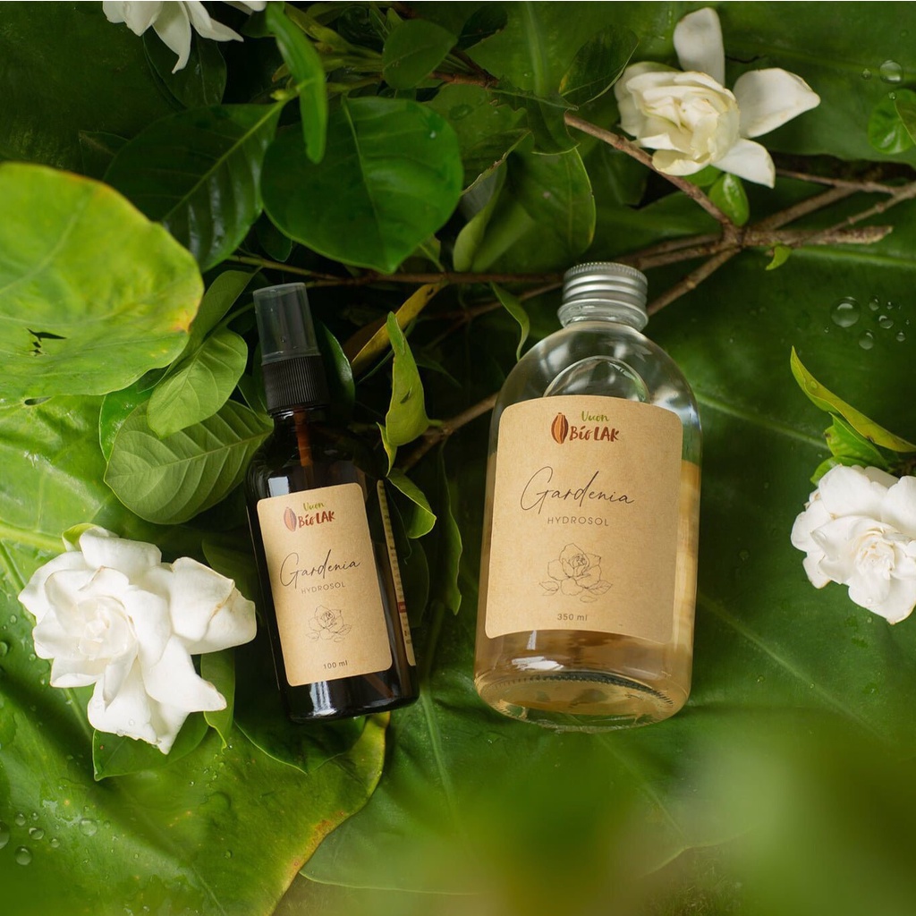 Hydrosol Gardenia – Nước cất sài đất nếp, bạch thiên hương