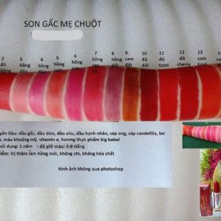Son Gấc Mẹ Chuột Handmade