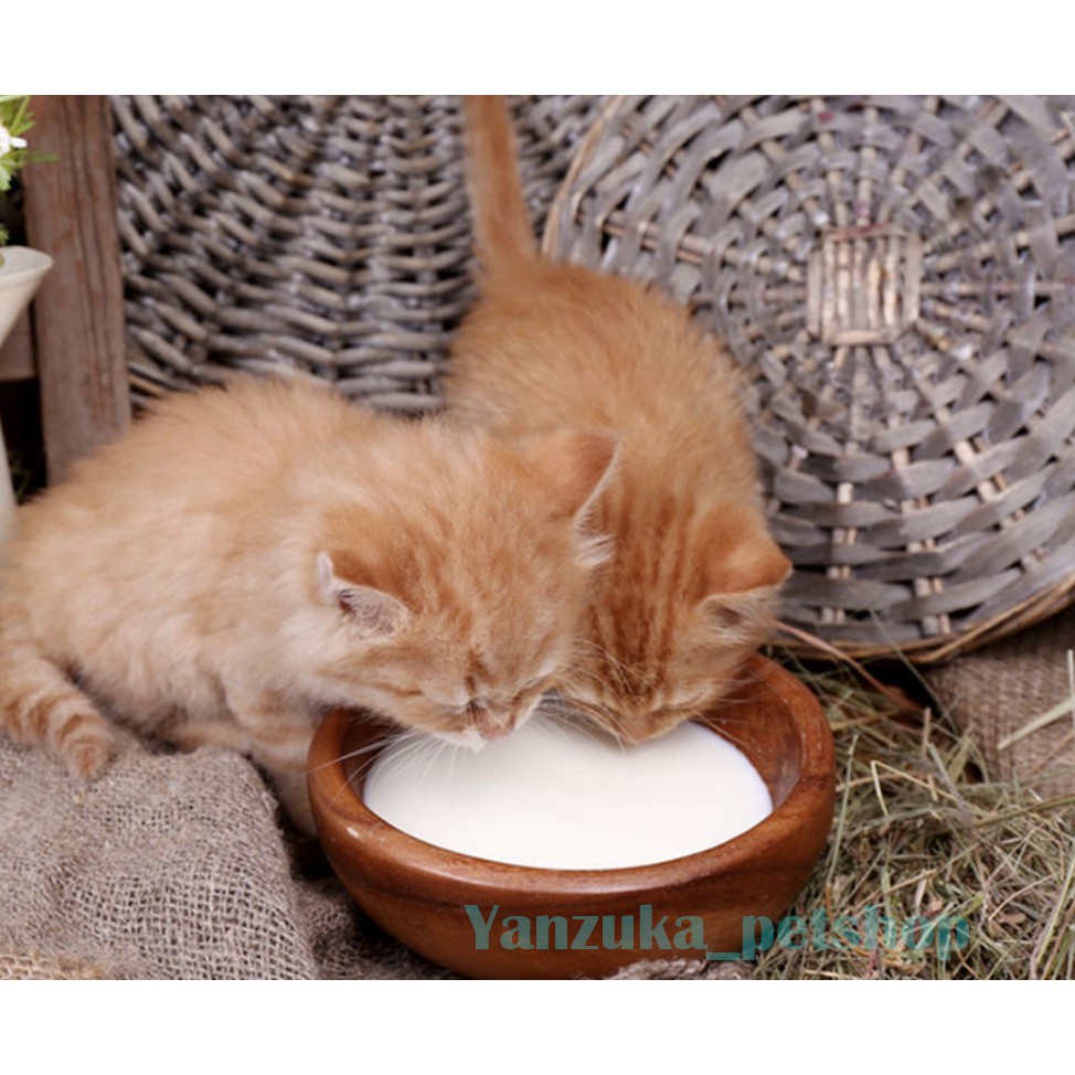 Sữa cho chó mèo con GOAT MILK, Sữa bột dê cho chó mèo pet thú cưng, sữa cho mèo chó tăng cường hấp thụ chất dinh dưỡng