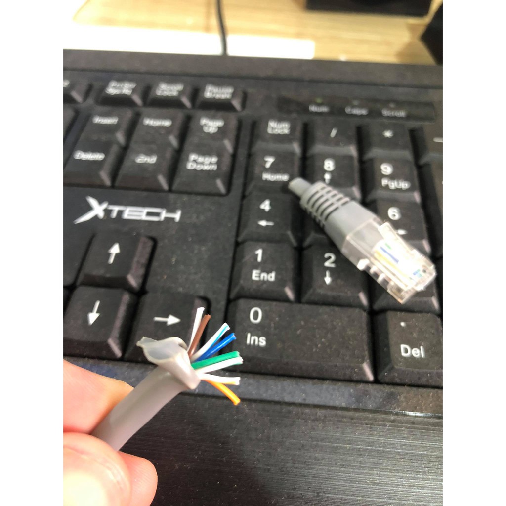 Dây Mạng 1M | BigBuy360 - bigbuy360.vn