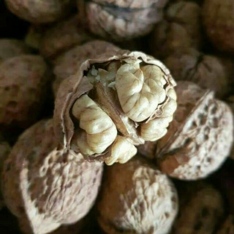 1kg quả óc chó