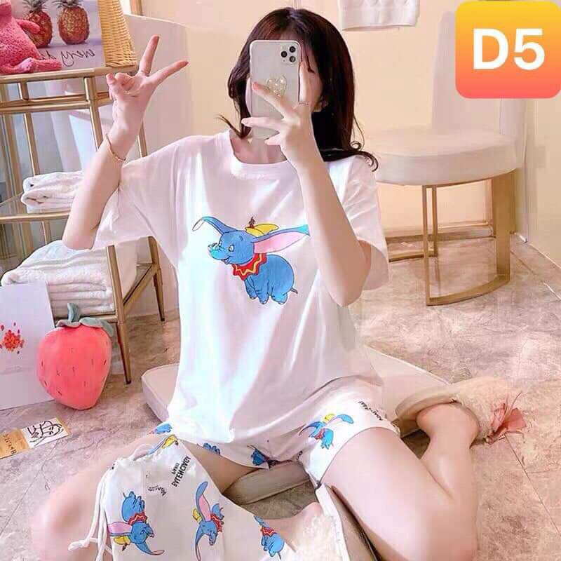 Bộ thun anh thư 0420(13/12)