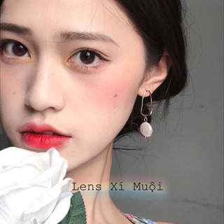 Lens Mắt Màu Xám Giãn Nhỏ Mini Ring Có Cận