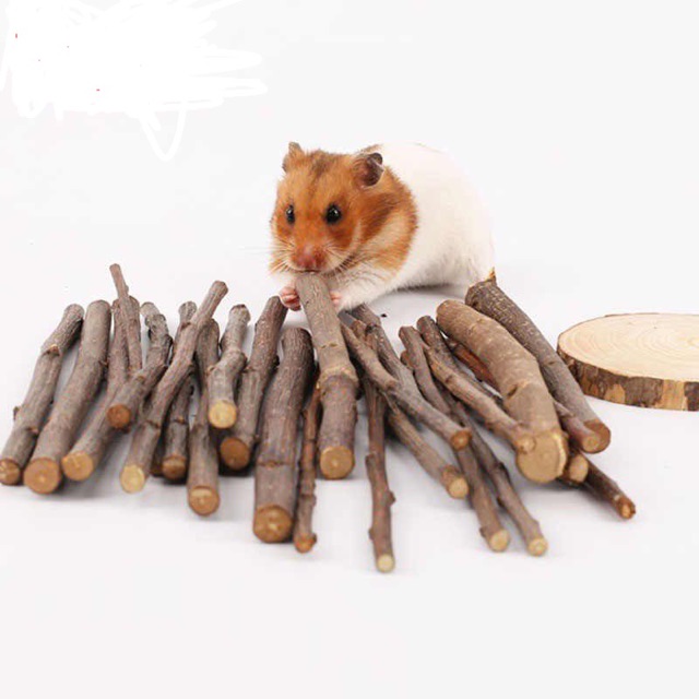 Cành táo mài răng cho hamster, thỏ, bọ