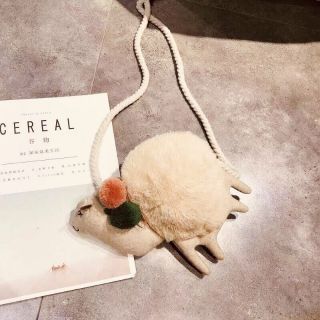 Túi lạc đà