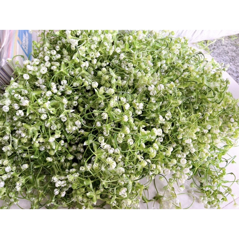 Bi nhựa rời túi 100gr