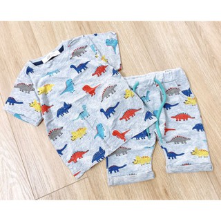 Bộ dinosaurs HM