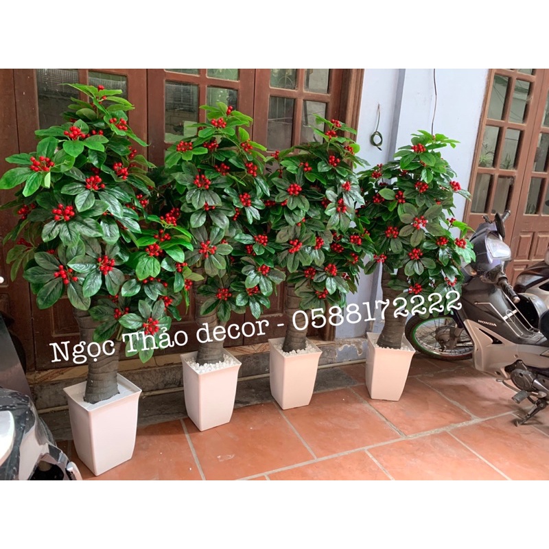 Cây kim ngân lượng giả 1m5 _ cây giả trang trí