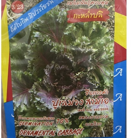 Hạt giống hoa bắp cải (Bắp cải hoa hồng) nhập Thái Lan nguyên gói (ornamental cabbage)