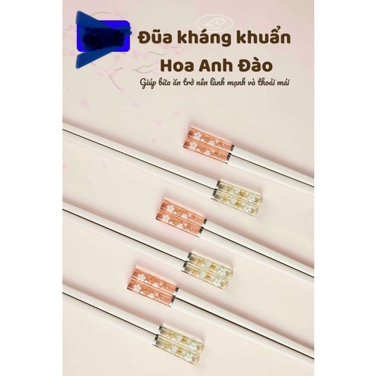 SET 5 ĐÔI ĐŨA HOA ANH ĐÀO SANG TRỌNG, LỊCH SỰ VÀ CỰC THẨM MĨ