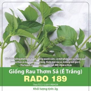 Hạt giống Rau Thơm Sả 189 (É trắng)