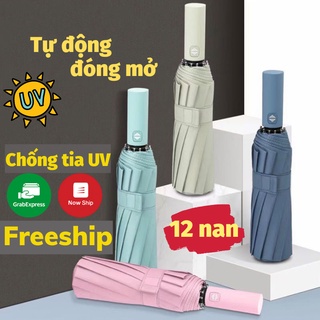 Ô Dù, Ô Che Nắng Chống Tia UV Cao Cấp - AUTO BEN