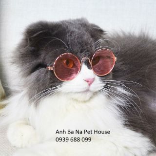 Mắt kính cho mèo thời trang