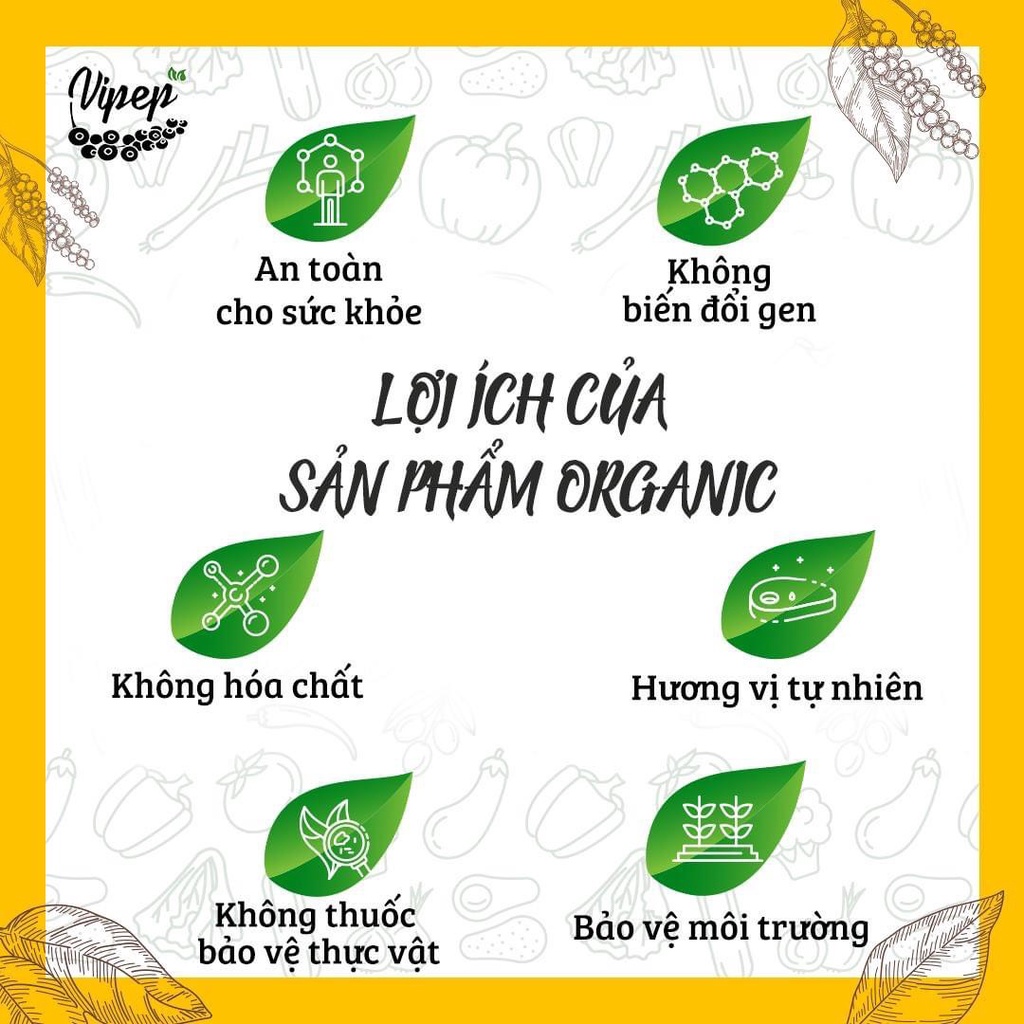 [Viet Pepper] Trọn bộ gia vị ướp cho bé ăn dặm và nấu ăn gia đình, bột quế hành tỏi gừng nghệ sả ngũ vị hương muối hồng