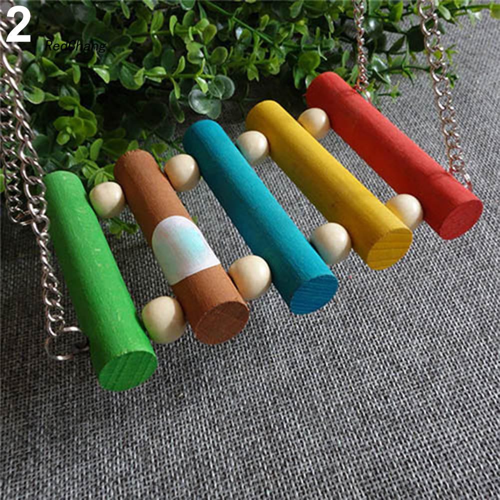 Đồ chơi xích đu gắn lồng chim vẹt tiện dụng cao cấp