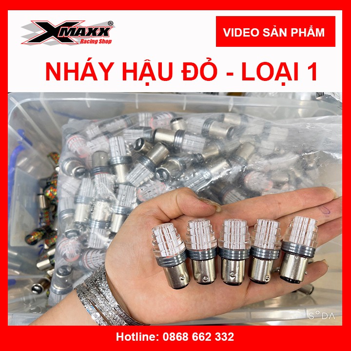 Bóng đèn LED nháy hậu - Loại bóng đúc nhựa cứng trong, chống nước tuyệt đối, chân đèn chắc chắn.