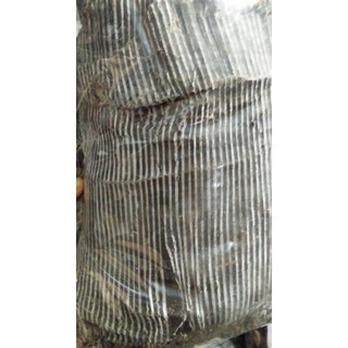 Cây đỗ trọng 500g