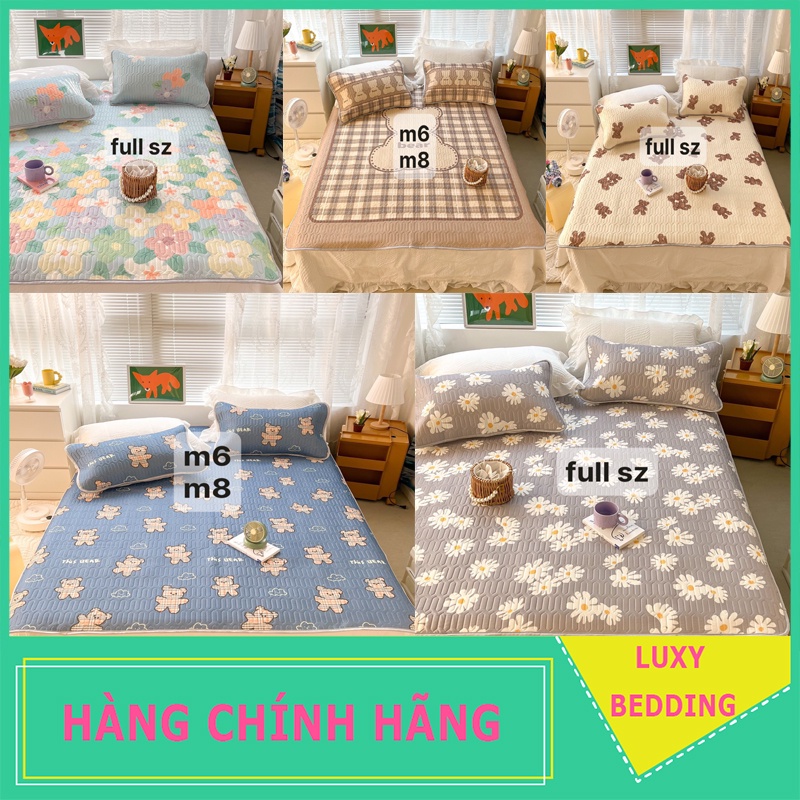 Chiếu điều hòa cao su non, Chiếu cao su non 5D hàng nhập TT01