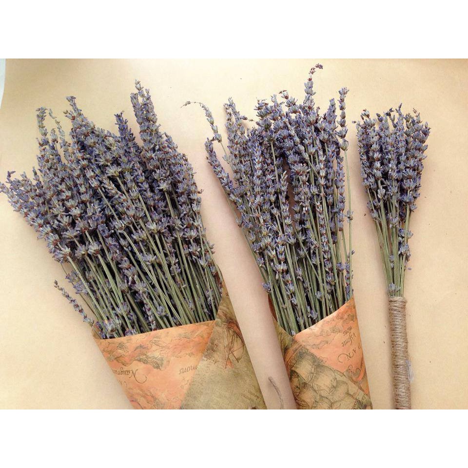  Bó hoa Lavender khô