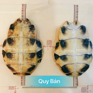  100gr Quy Bản