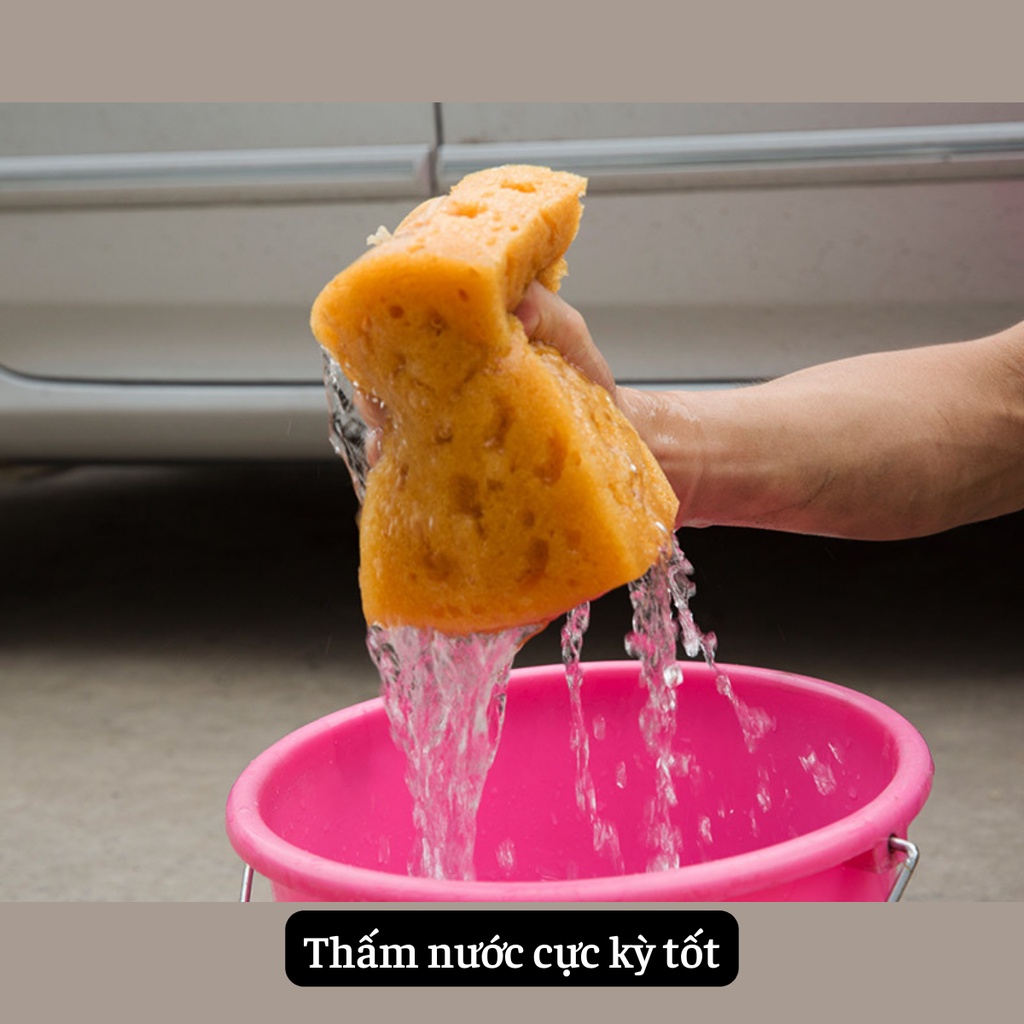 Miếng mút bọt biển rửa xe hình phô mai size lớn có dây treo tiện lợi giá tiết kiệm