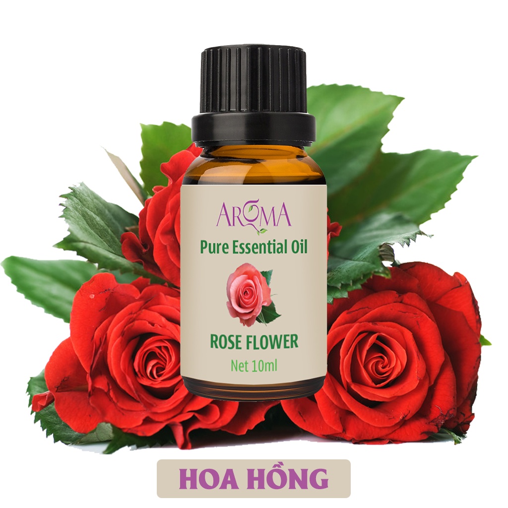 Tinh dầu Hoa Hồng Aroma thiên nhiên thơm phòng