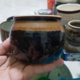 Ly gốm sứ nhật trồng sen đá