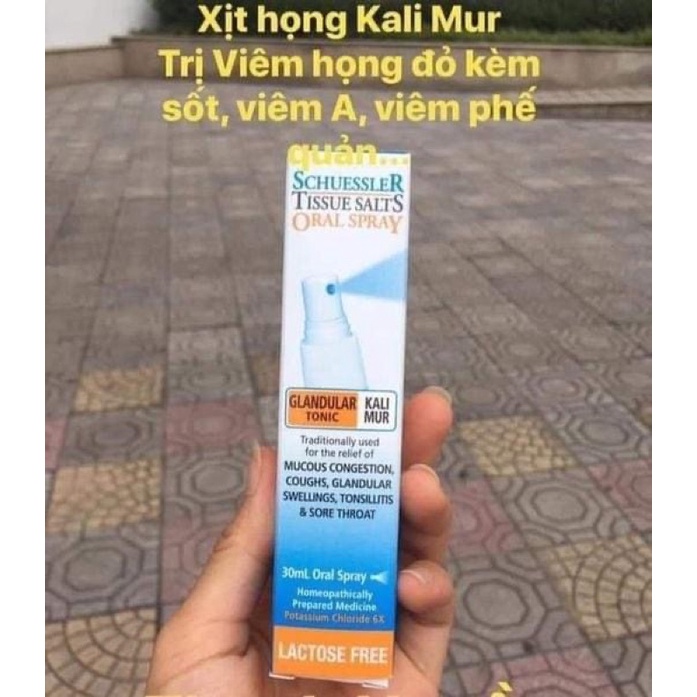Xịt làm sạch răng ố , mủn , sâu răng Schuessler Calc Flour