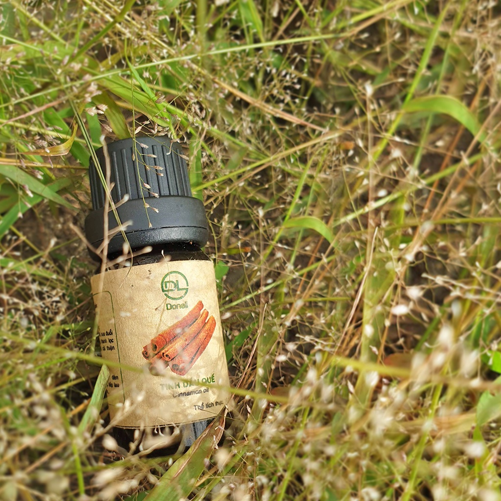 Tinh Dầu Thơm Phòng Quế Massage, Xông Hơi Donald Linh Giúp Thư Giãn &amp; Tăng Khả Năng Tập Trung Hương 10ml
