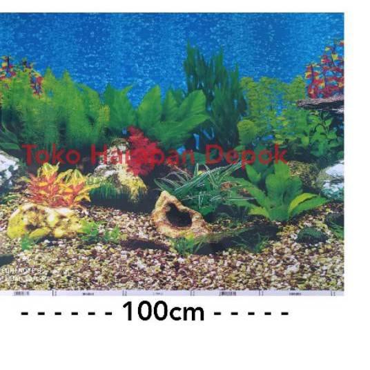 Tổng hợp Background Aquarium giá rẻ, bán chạy tháng 2/2023 - BeeCost
