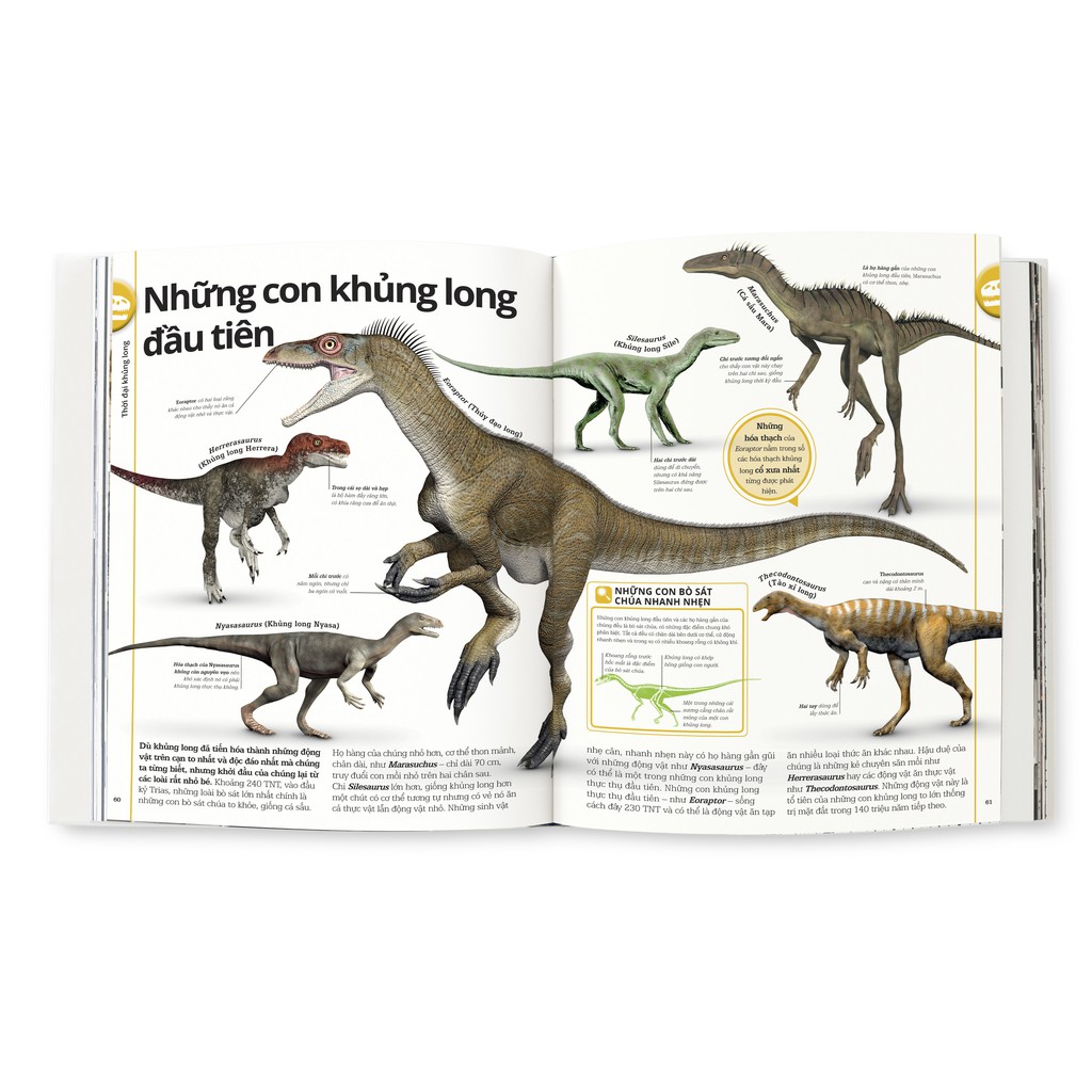 Sách - Khủng Long (Đông A) - Bìa cứng - Đông A - DAB