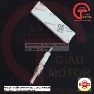 [ GIÁ SỐC] PIAGGO-BUGI CHO XE MÁY PIAGGIO -GIÀU MOTOR