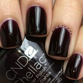 Sơn gel cnd usa bền màu