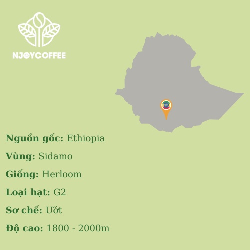 Cà Phê Ethiopia Sidamo  - Njoy coffee