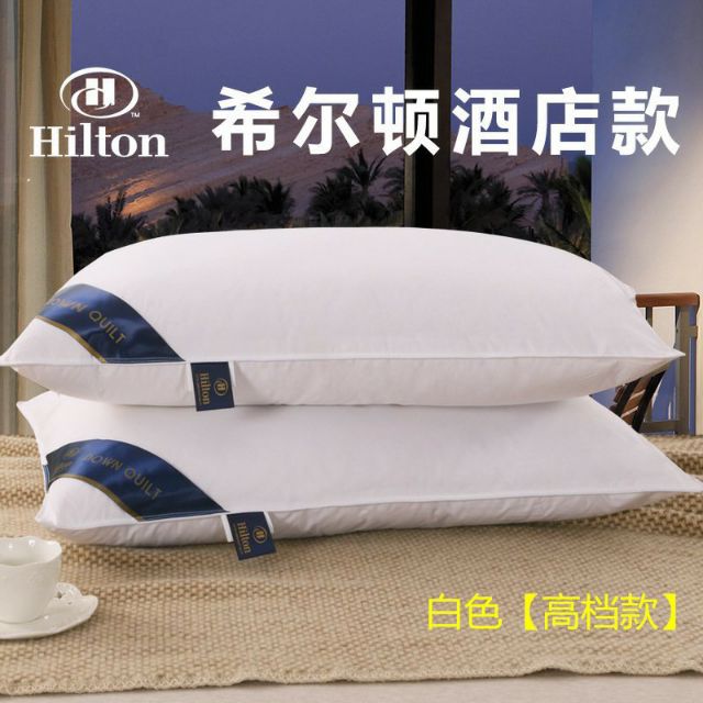 Combo 2 ruột gối hilton cao cấp