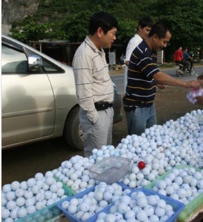 Combo 10 bóng golf Nike mới 90 %