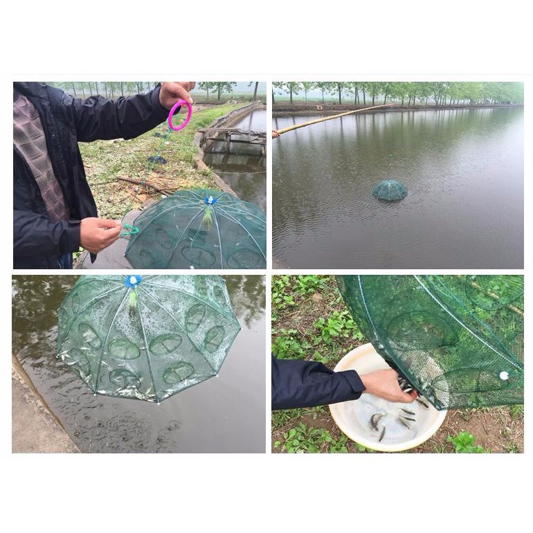Lưới bắt cá bát quái