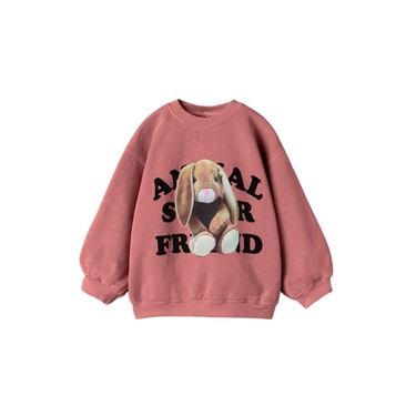 Áo nỉ bé gái Zara