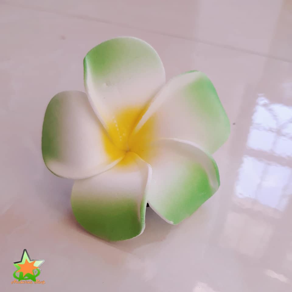 Hoa đại cài tóc đi biển, hoa sứ cài tóc