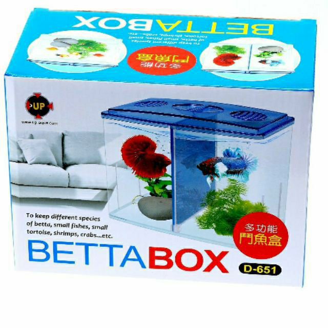 Bể nhựa nuôi cá Betta mini 2 in 1, hồ cá để bàn size 18x14x10 cm - Betta Box - GuppyXanh