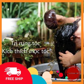[GIÁ SỐC] - Cặp Gội Xả Bưởi Grapefruit ( Gội + Xả)