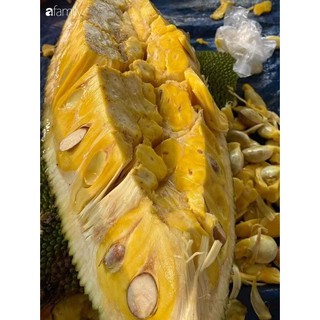Mít Thái Ruột Đỏ Sơ Đỏ